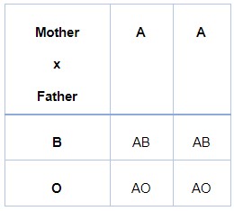 Figure 4: Punnett square of AA x BO