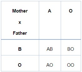 Punnett square of AO x BO