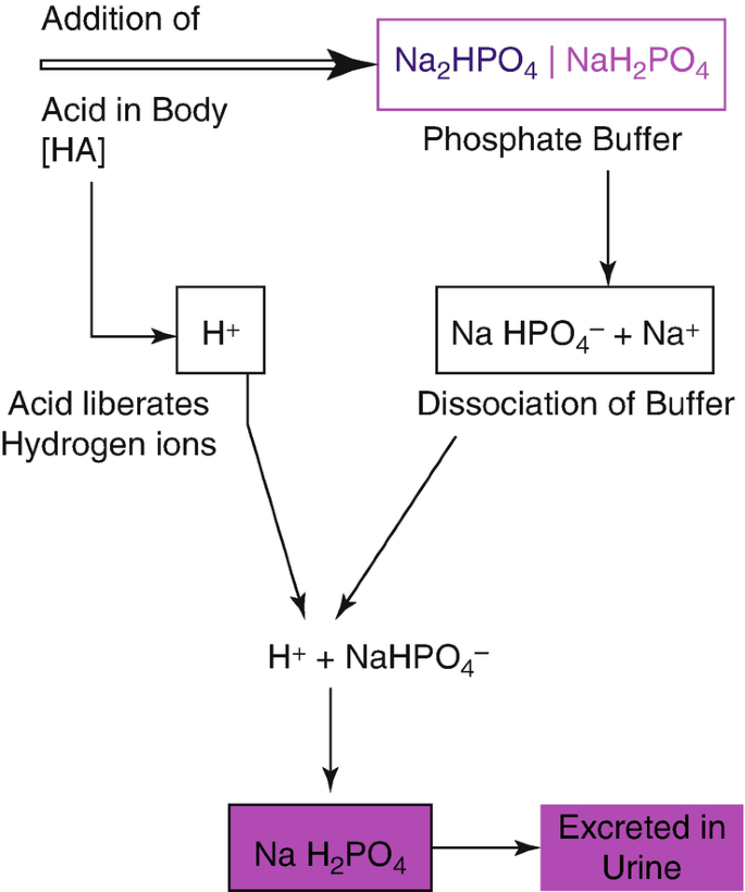 Roles in Biological and Chemical processe