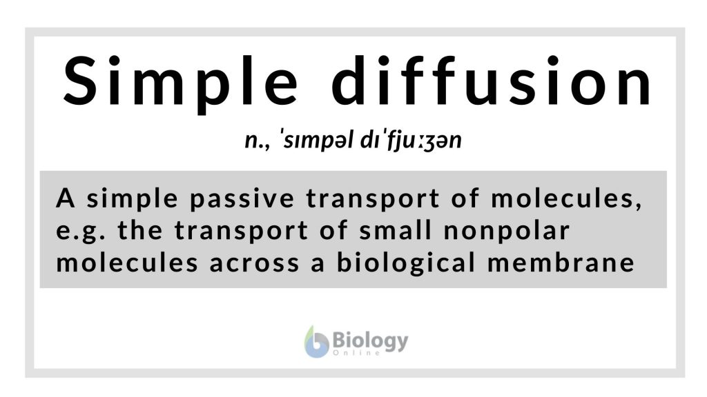 Simple diffusion definition and examples biology online dictionary