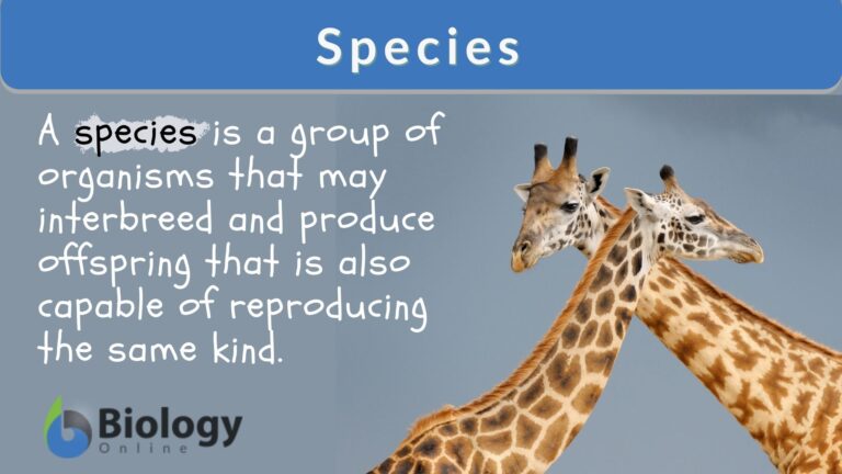 Species definition