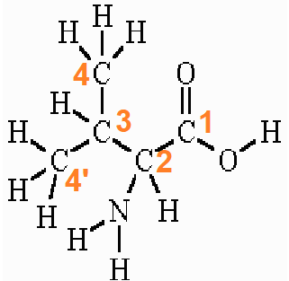 Structural representation of Valine