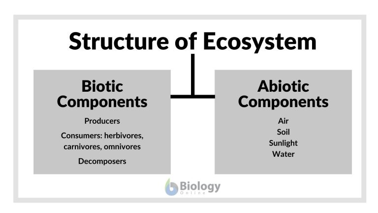 Biotic Factor Definition And Examples Biology Online Dictionary