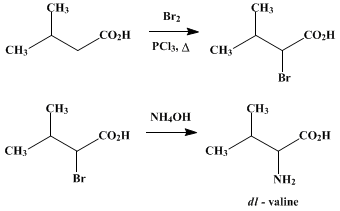 Synthesis of valine