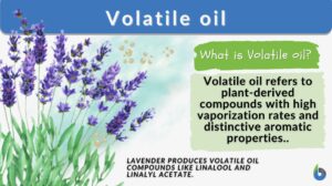 Volatile oil definition and example