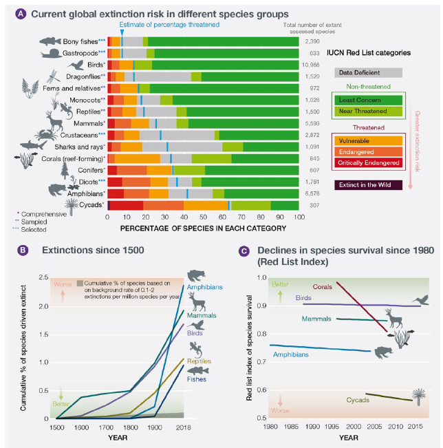 Warning of ecological Armageddon