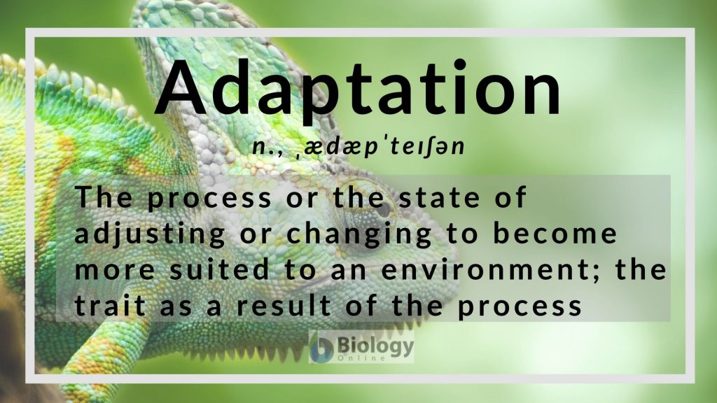 Adaptation Definition and Examples - Biology Online Dictionary