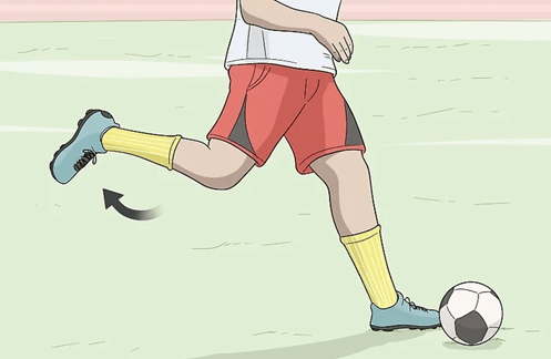 agonistic muscle when kicking a ball - 1