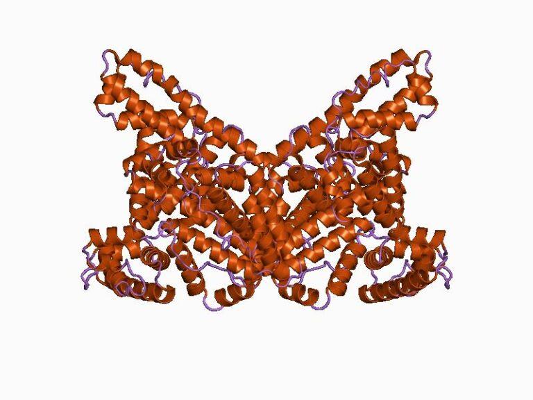 albumin structure