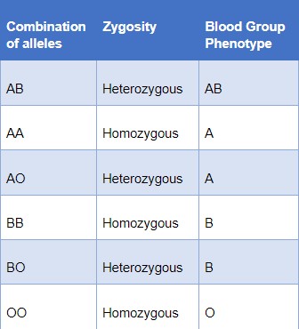 allelic combinations - blood type phenotype