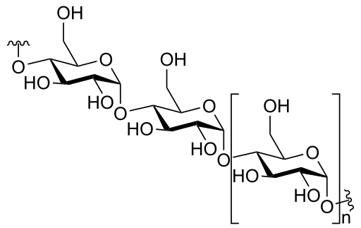 amylose structure