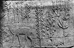 ancient botanical garden in Egypt