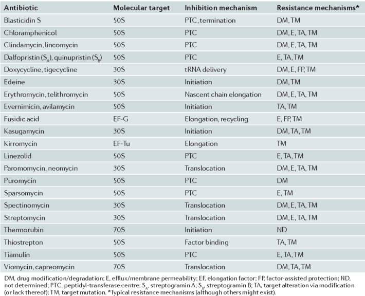 antibiotics targetting the ribosomal subunits
