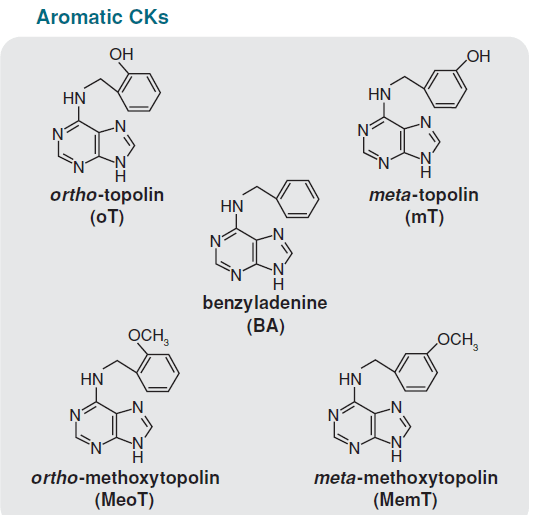 aromatic cytokinins