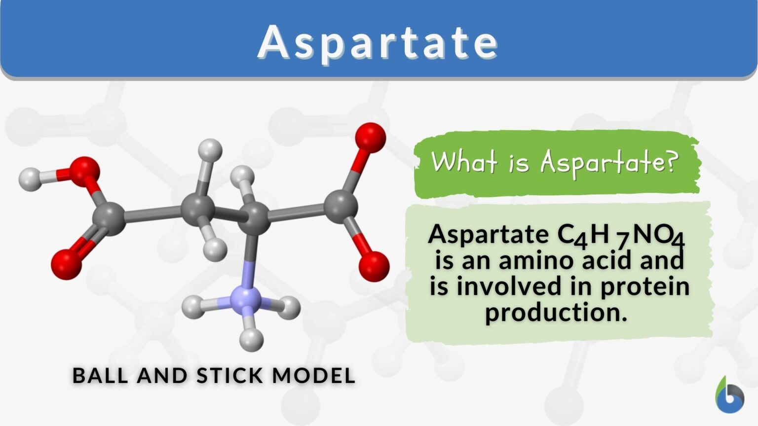Aspartate Definition and Examples Biology Online Dictionary