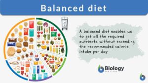 balanced diet definition