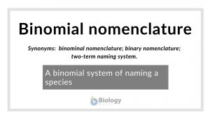 binomial nomenclature definition