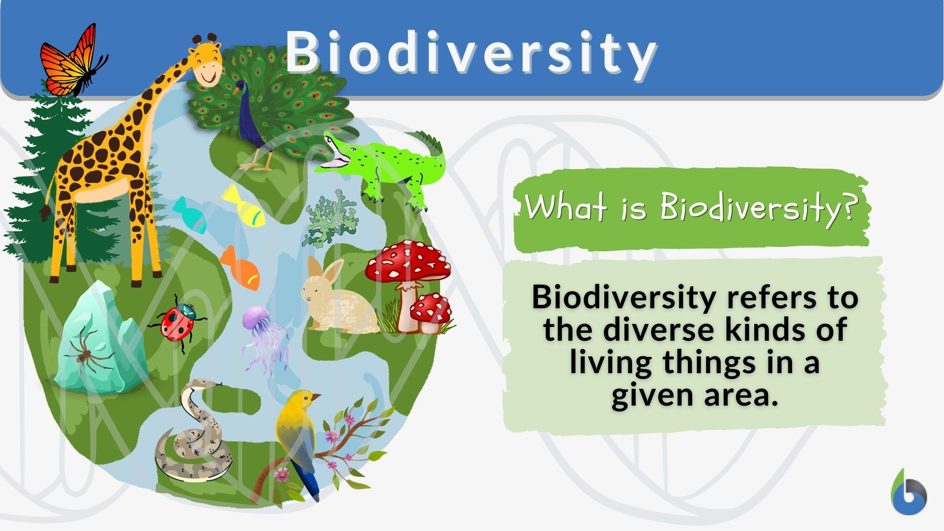 Biodiversity  