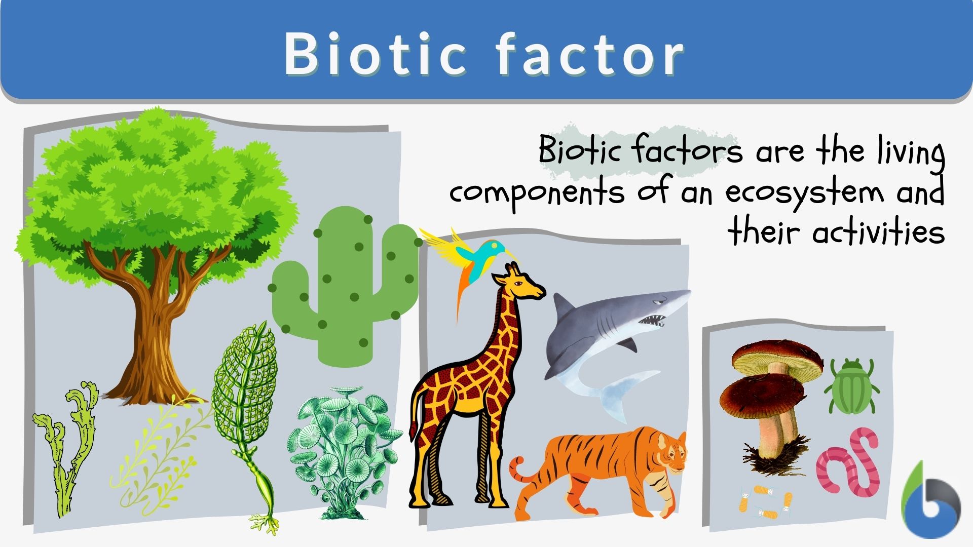 Biotic Factor Definition And Examples Biology Online Dictionary