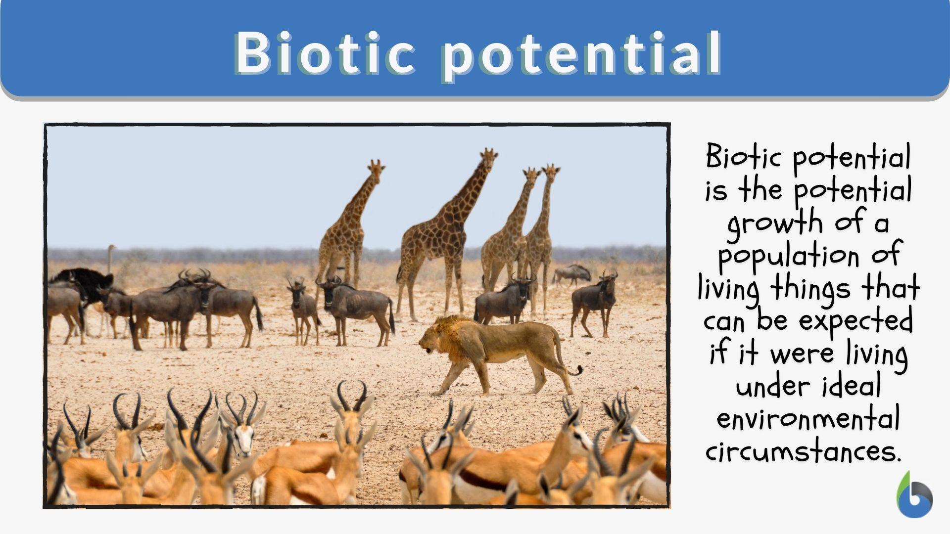 Biotic factor - Definition and Examples - Biology Online Dictionary