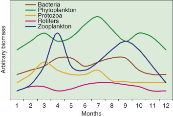 biotic potentials of various organisms