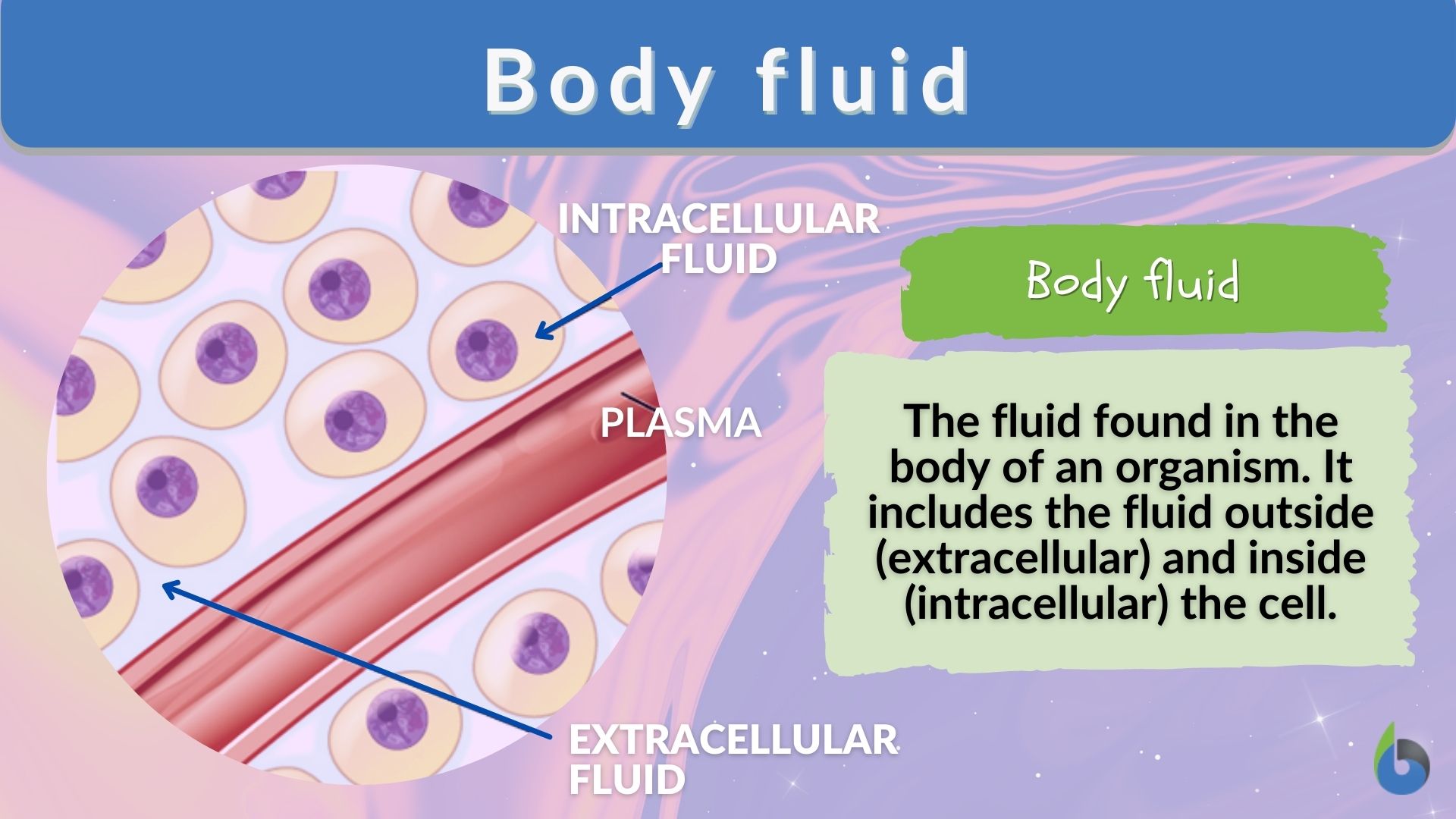 Body Fluid Definition And Examples Biology Online Dictionary