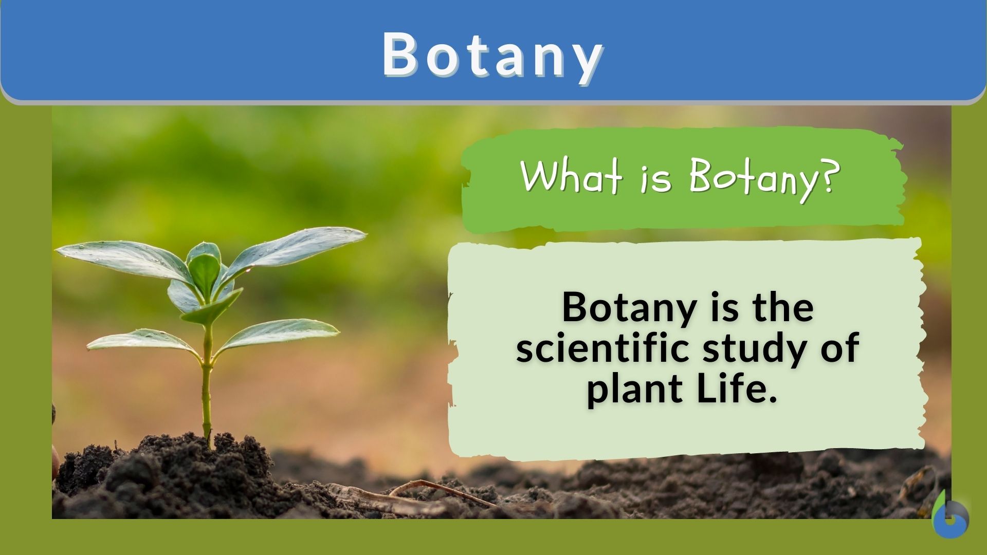 Botany - Definition and Examples - Biology Online Dictionary