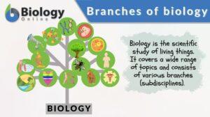 branches of biology definition and examples