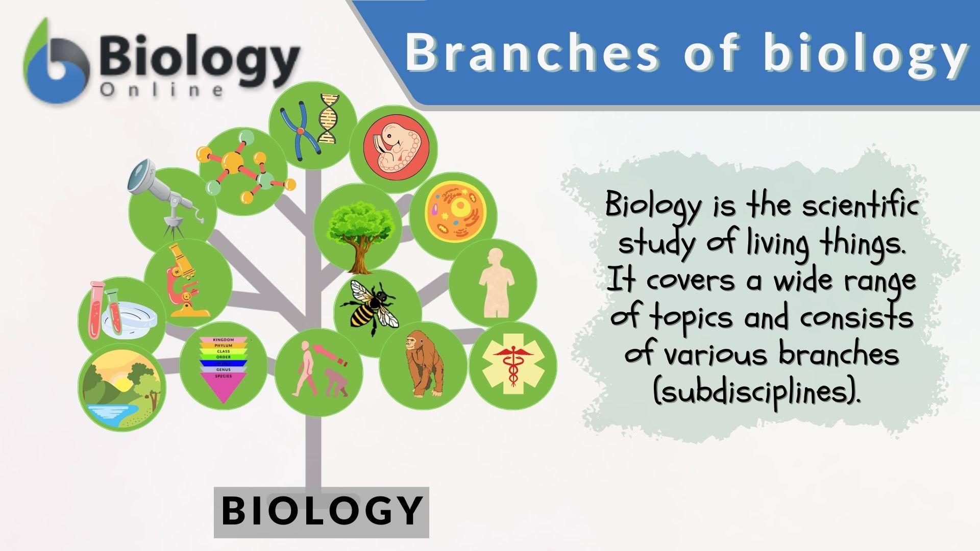 powerpoint presentation on branches of biology