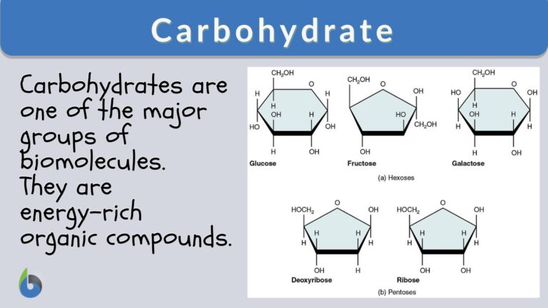 carbohydrate definition
