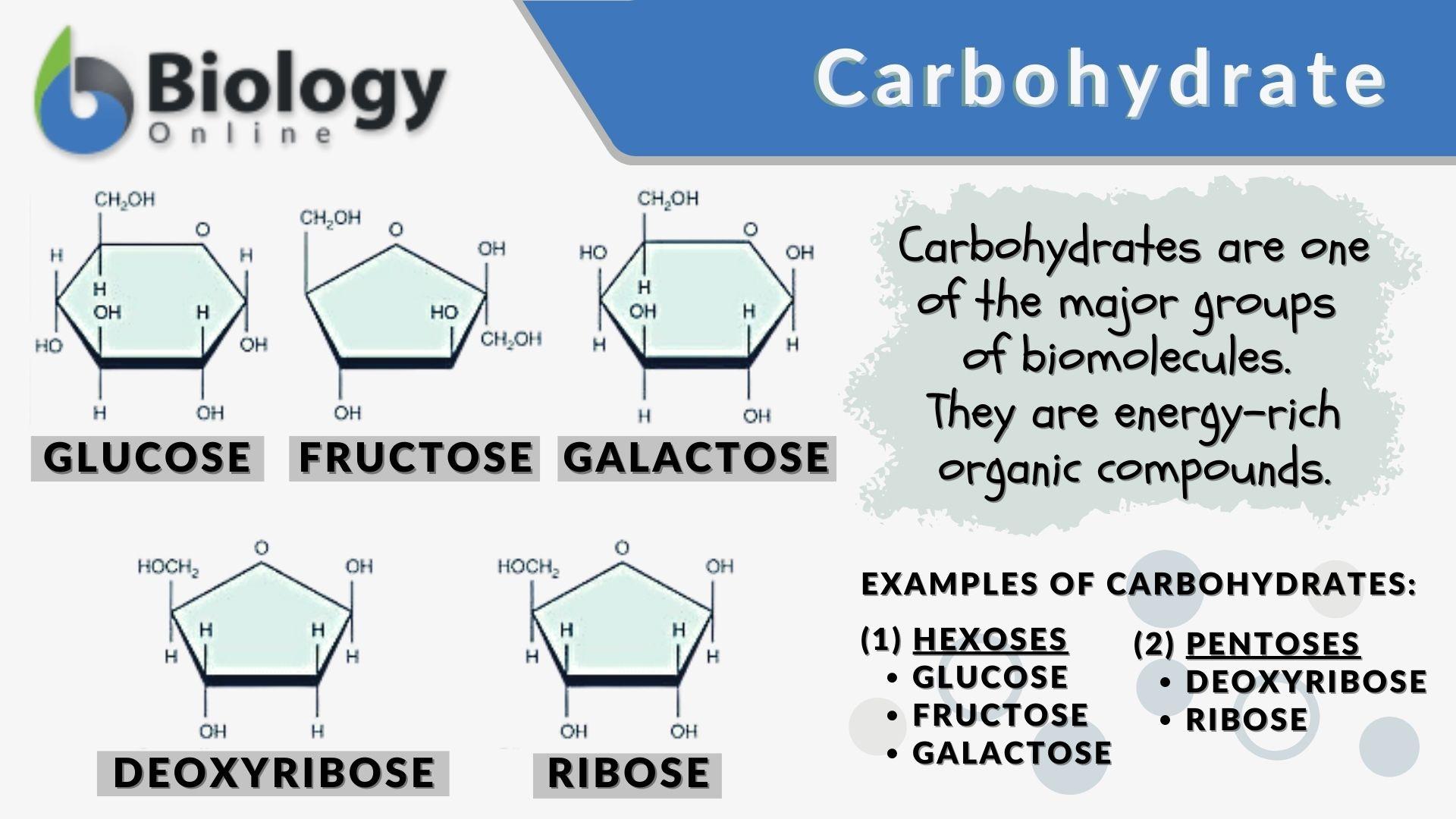 Carbohydrate Definition and Examples - Biology Online Dictionary