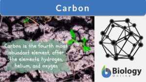 carbon definition updated