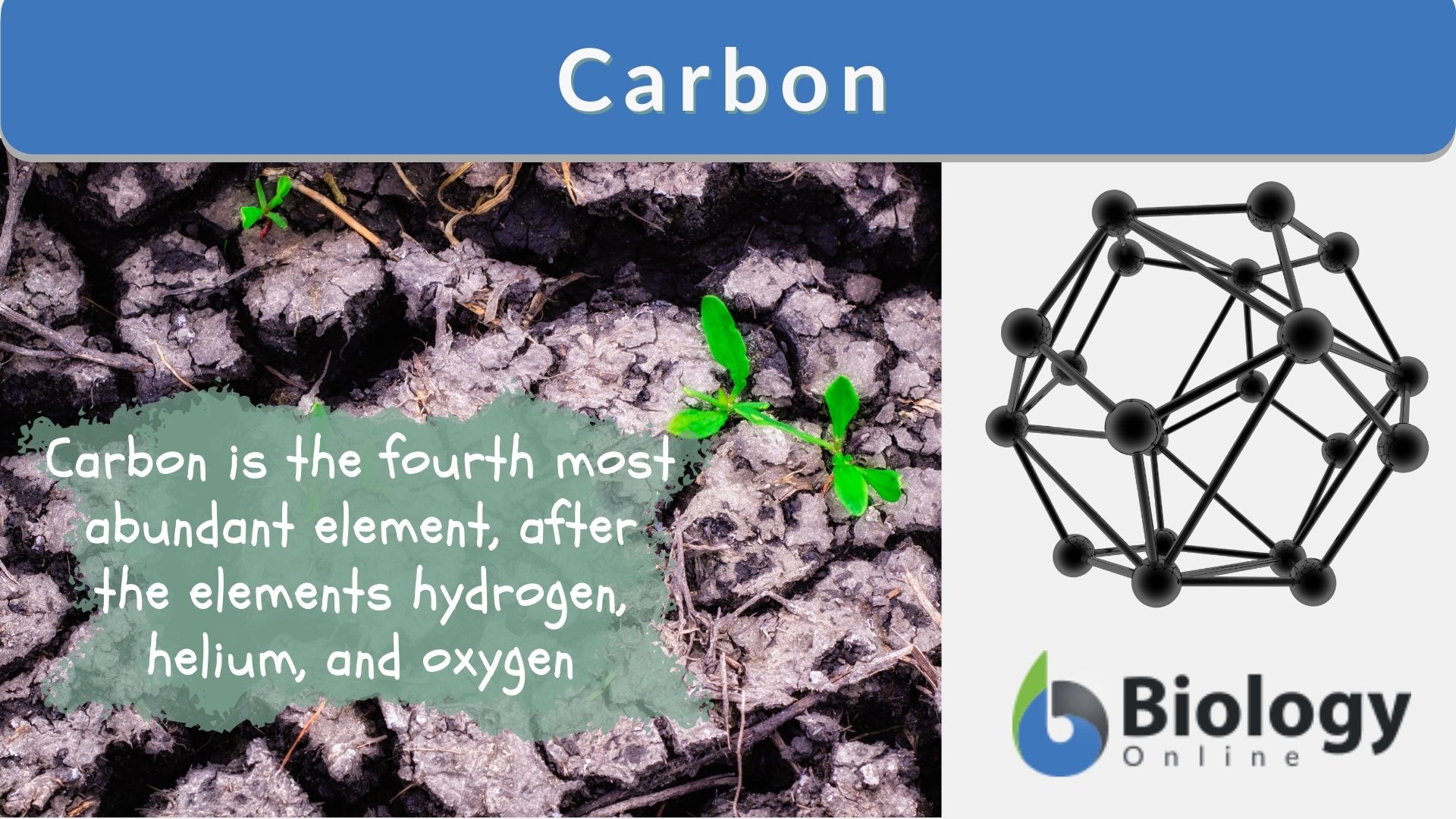 life of a carbon atom