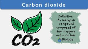 carbon dioxide definition
