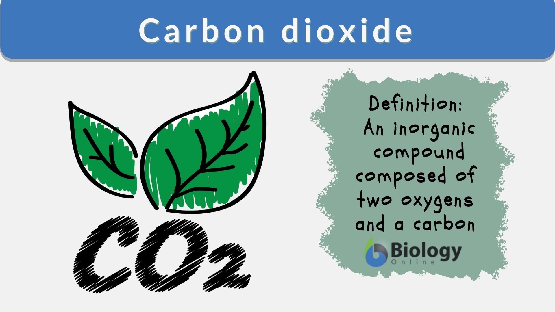 Carbon dioxide - Definition and Examples - Biology Online Dictionary