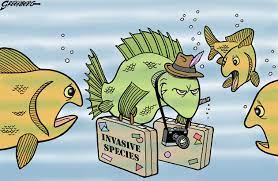 cartoon - threats posed by invasive species