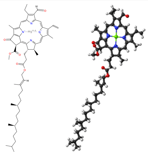 chlorophyll b structure