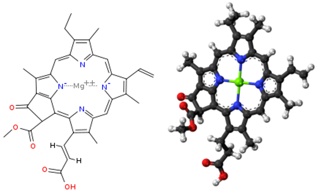 chlorophyll c structure