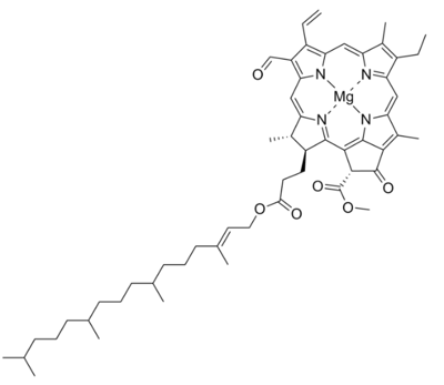 chlorophyll f structure