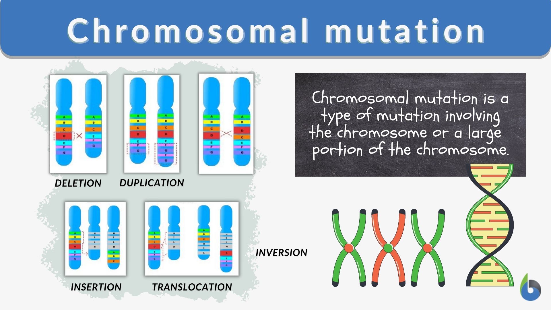 what are two parts of a chromosome