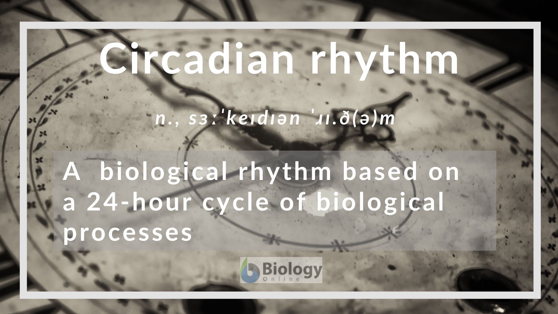 Circadian rhythm Definition and Examples - Biology Online Dictionary
