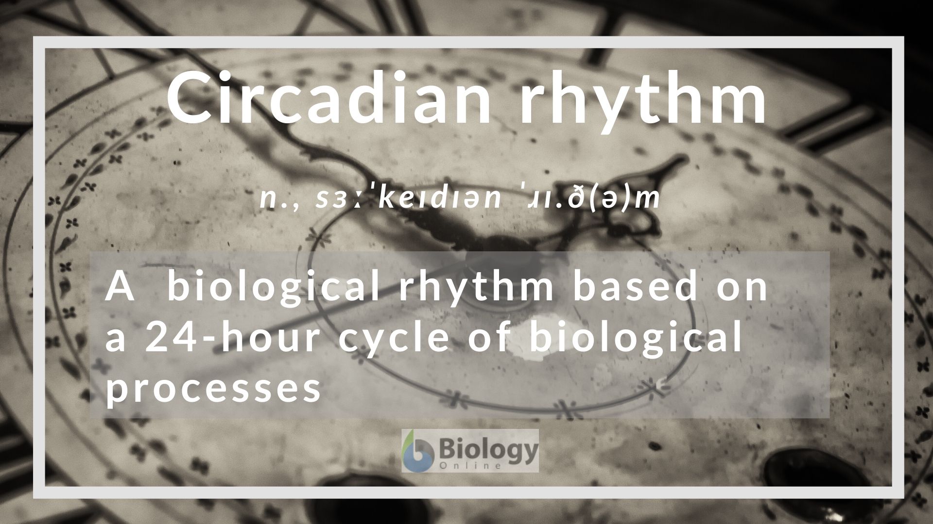 Circadian rhythm definition