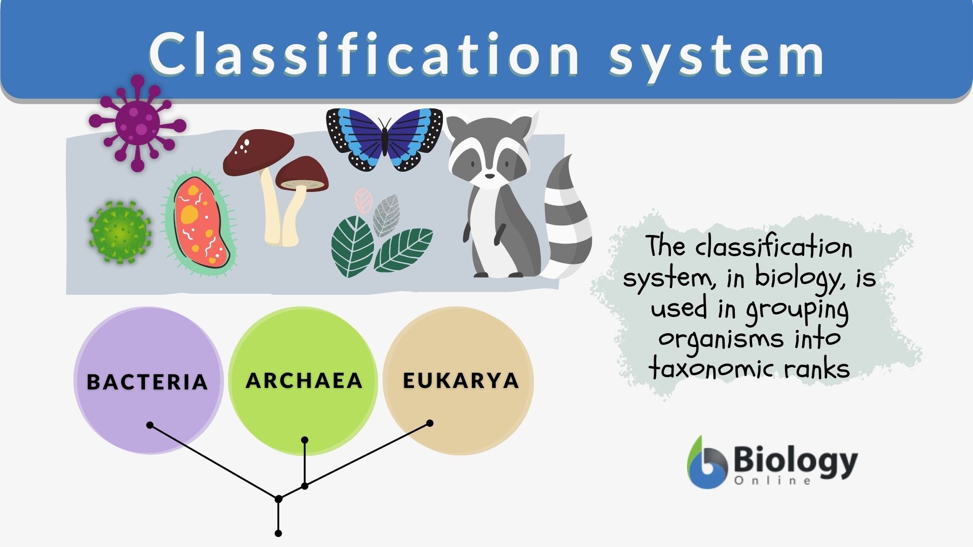 classification examples science