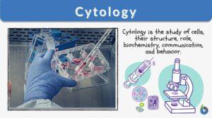 cytology definition and example