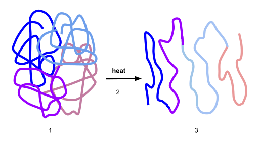 denaturation of proteins - schematic diagram