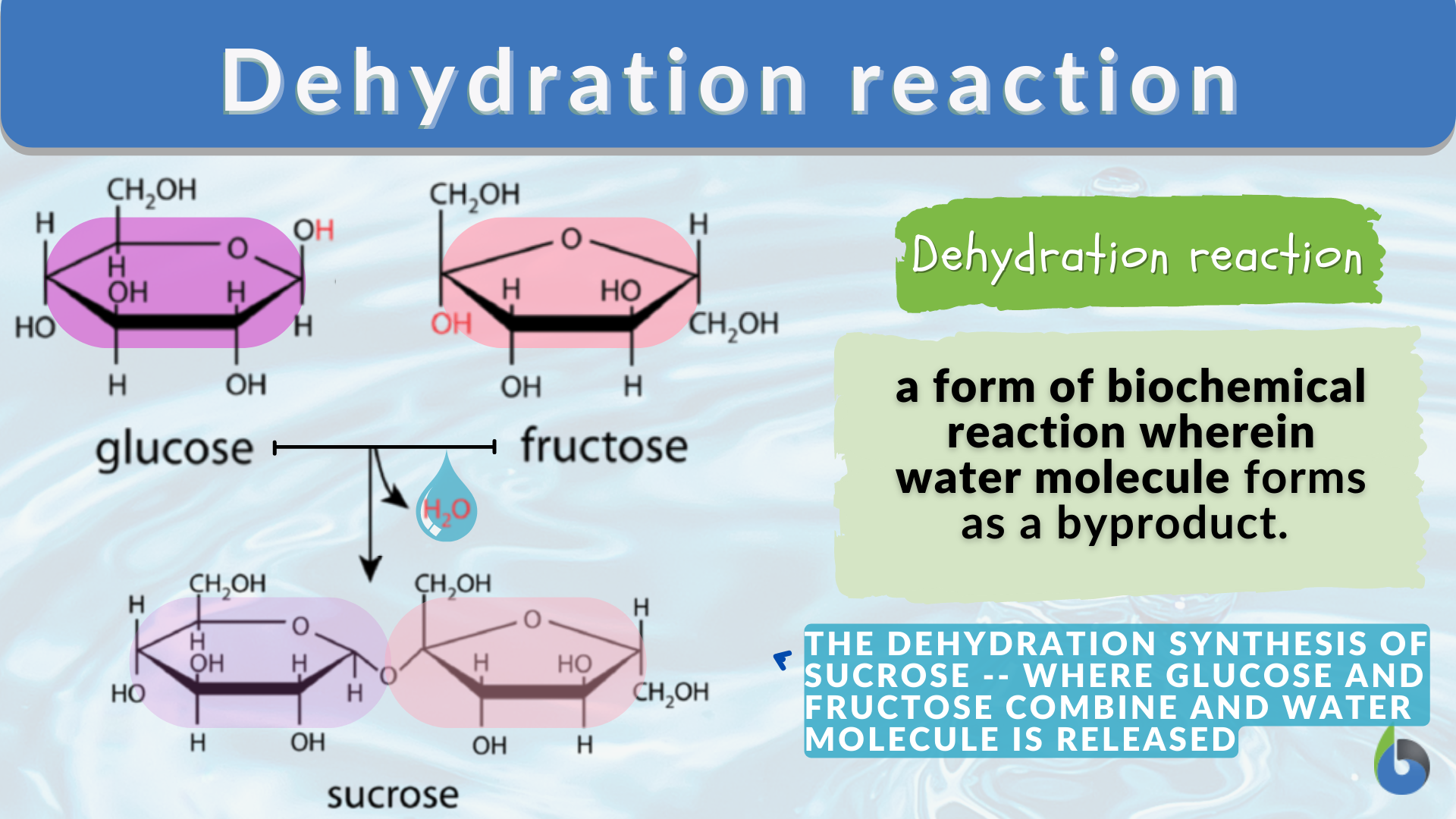 Konkurrence emulsion problem Dehydration reaction - Definition and Examples - Biology Online Dictionary