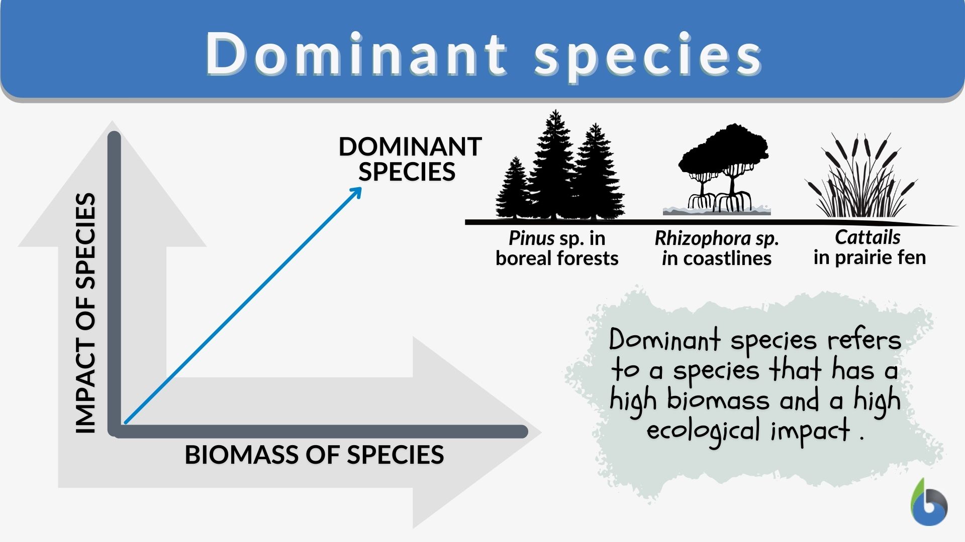 Dominant species Definition and Examples - Biology Online Dictionary