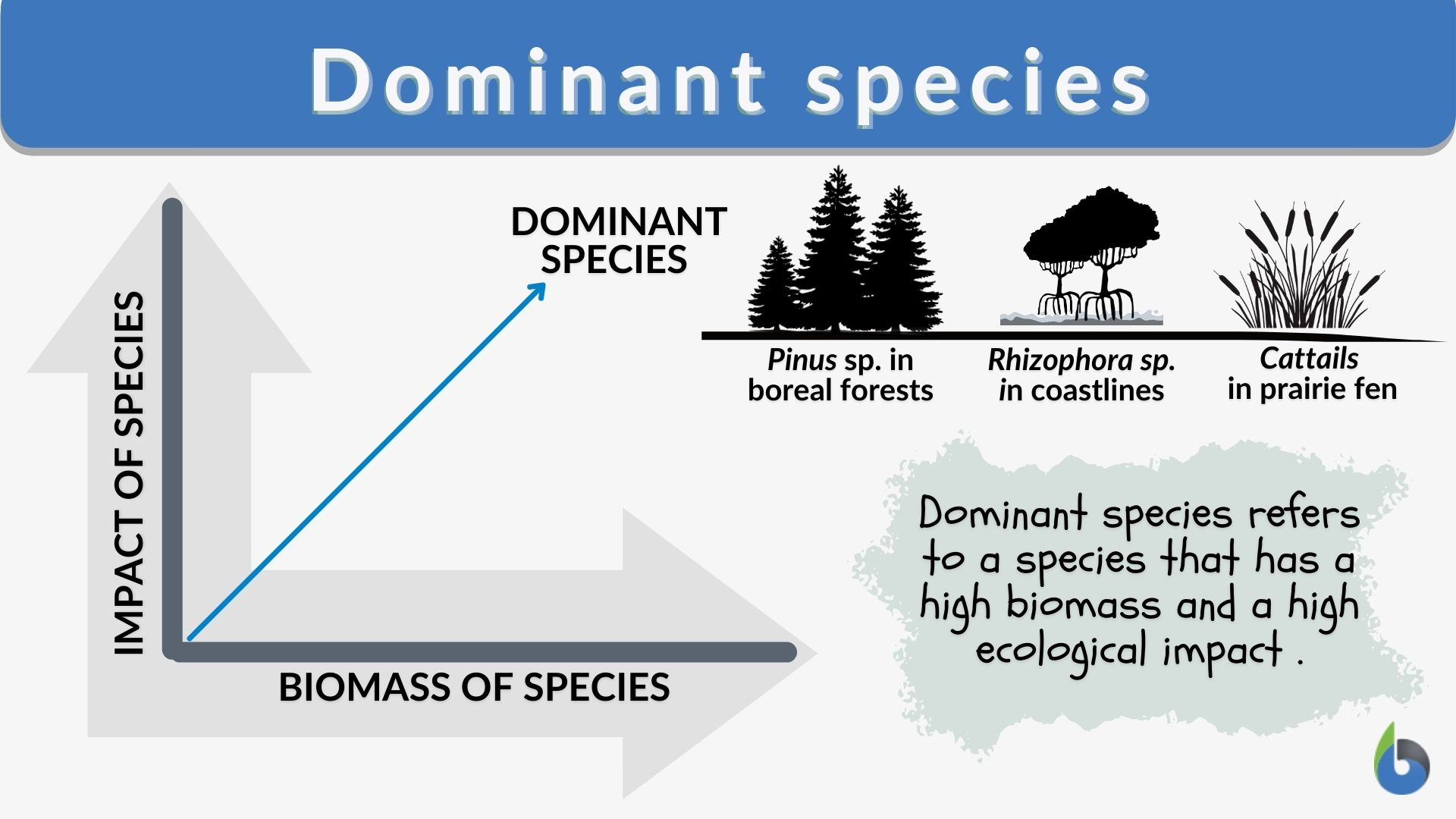 Who do you consider to have been the more dominant during their