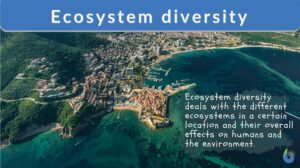 ecosystem diversity definition