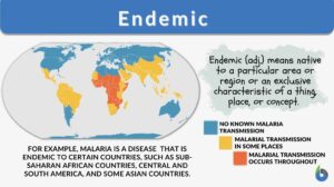 endemic definition and example